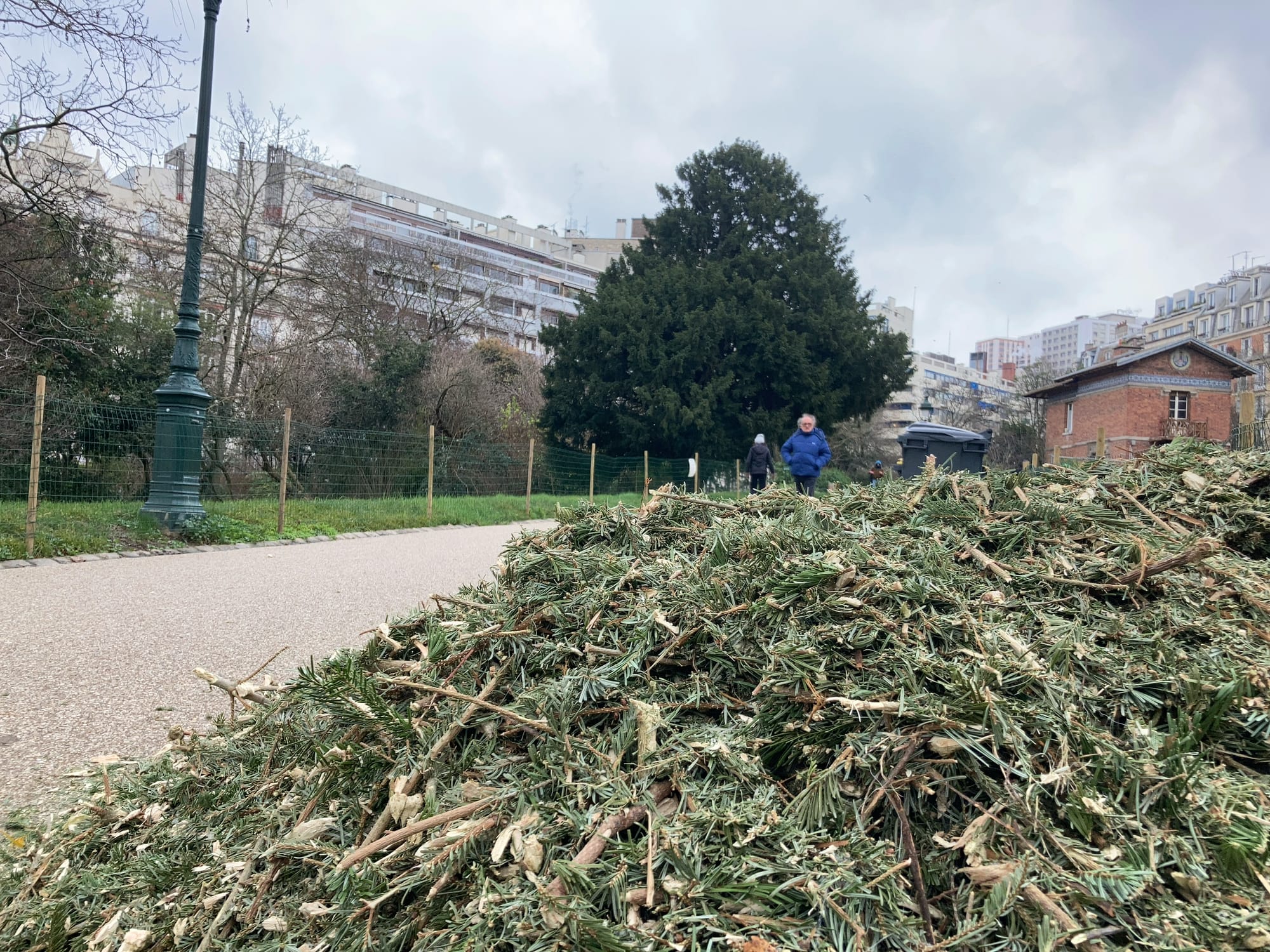 A green pile of Christmas tree mulch, by the side of a path in the Buttes Chamount. In the distance, there is a man in a blue winter coat coming down the hill, along the path.