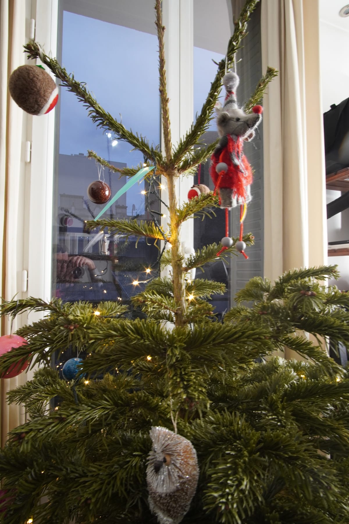 Christmas Trees and Music Practice